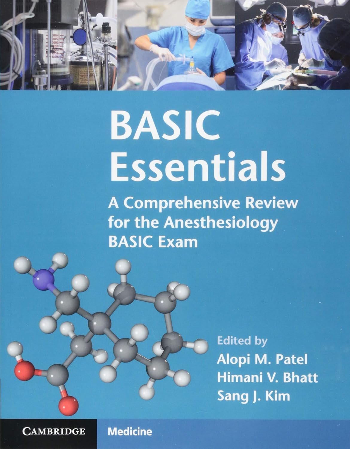 BASIC Essentials: A Comprehensive Review for the Anesthesiology BASIC Exam