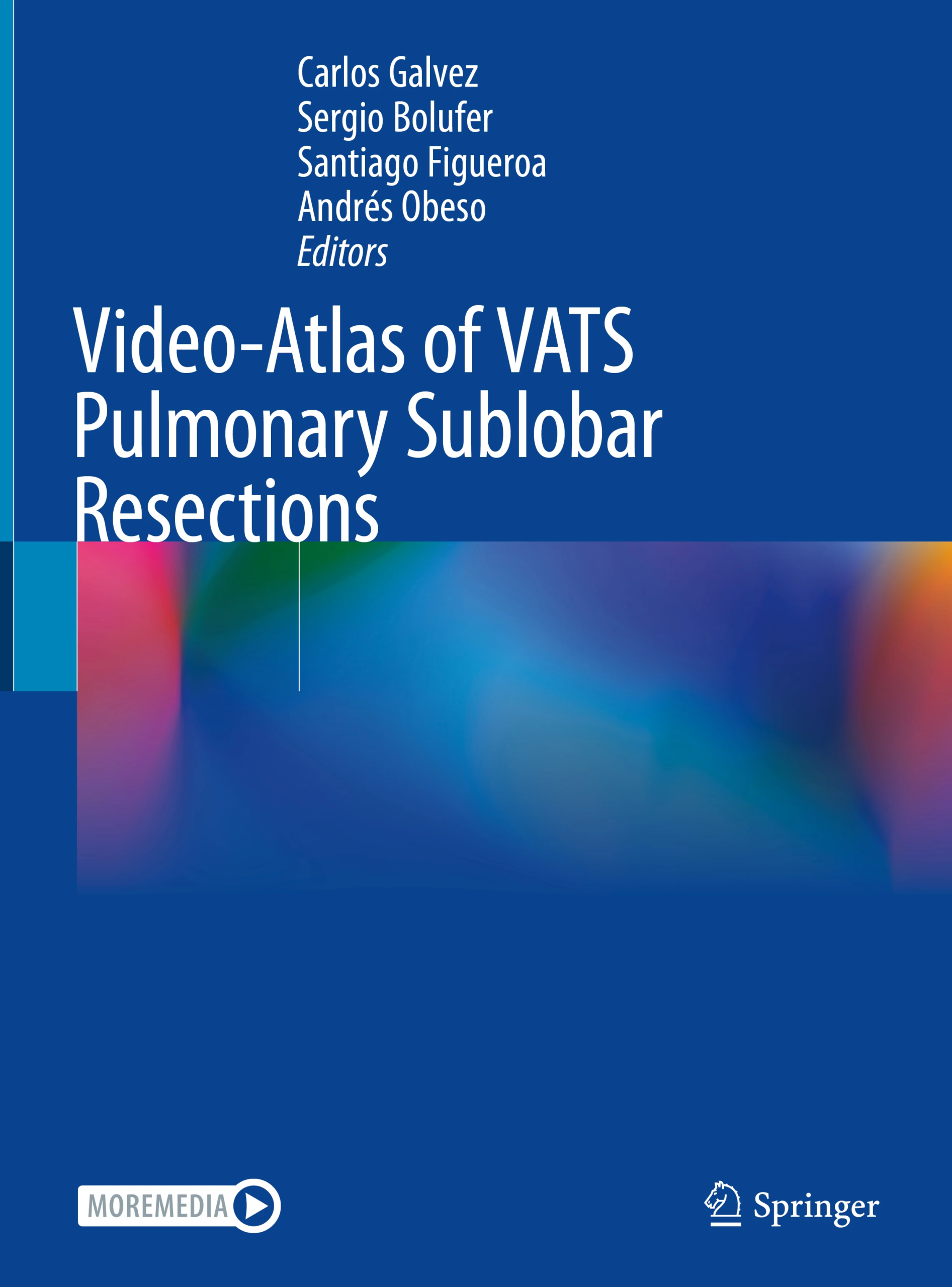 Video-Atlas of VATS Pulmonary Sublobar Resections PDF
