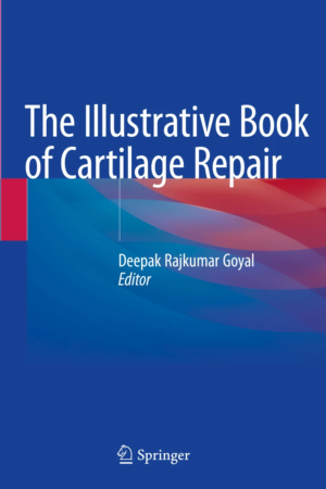 The Illustrative Book of Cartilage Repair PDF