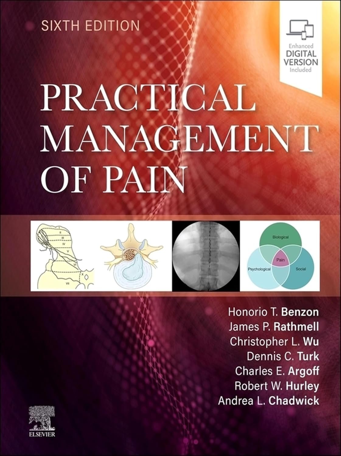Practical Management of Pain 6th Edition PDF