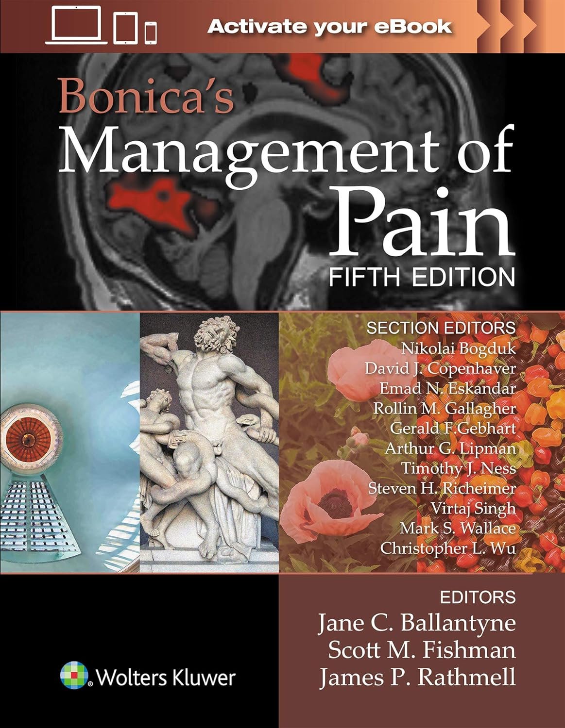 Bonica’s Management of Pain 5th Edition PDF