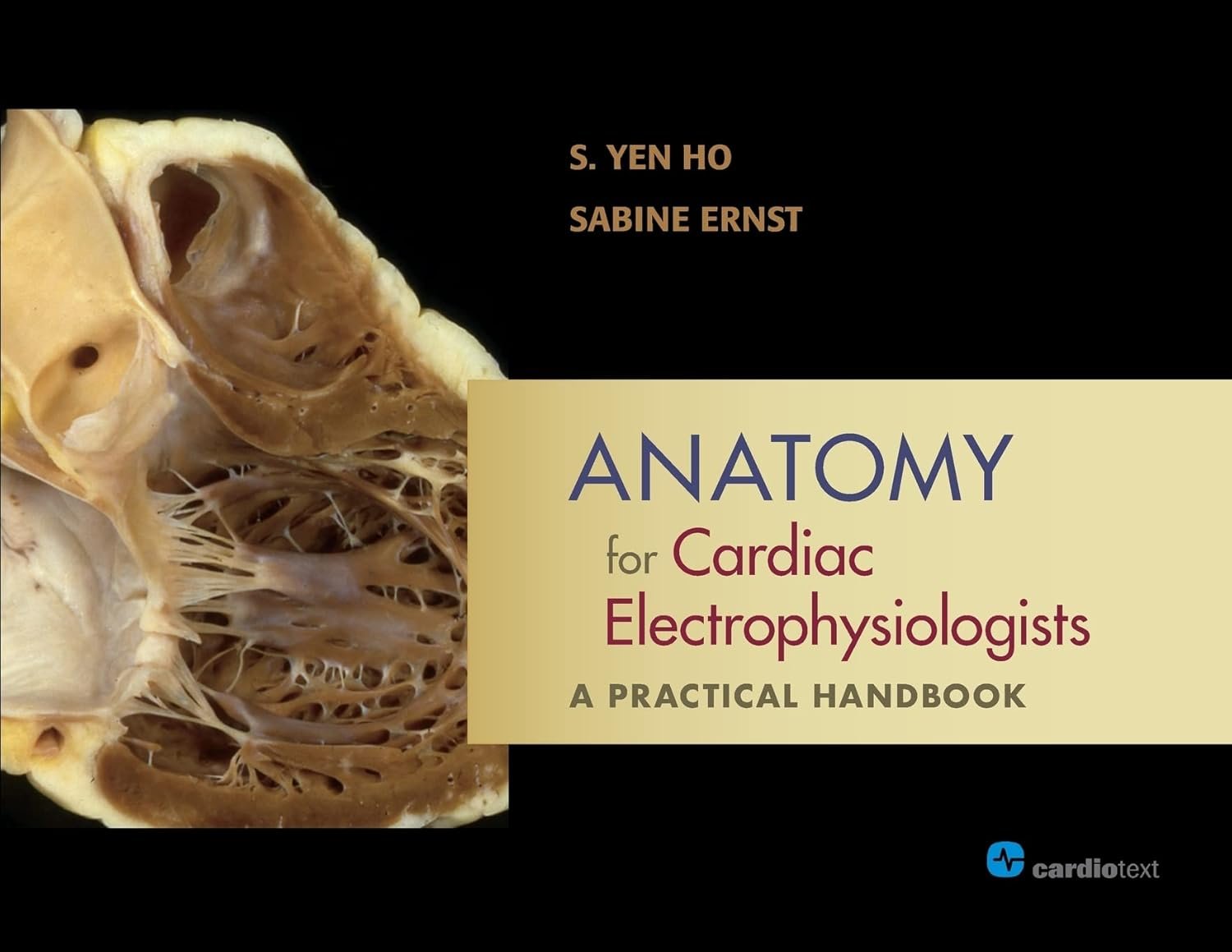Anatomy for Cardiac Electrophysiologists PDF