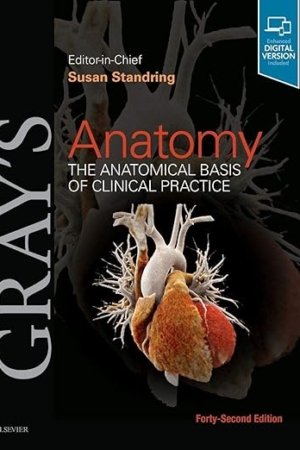 Gray's Anatomy: The Anatomical Basis of Clinical Practice 42nd Edition PDF